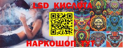 apvp Гатчина