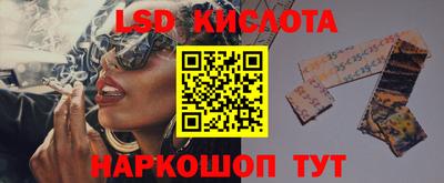 apvp Гатчина