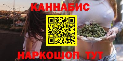 apvp Гатчина