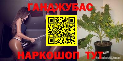 apvp Гатчина