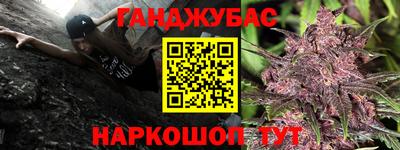 ешки Гай