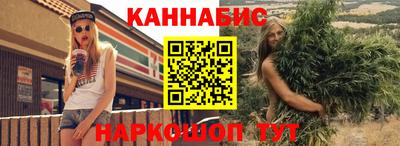 apvp Гатчина