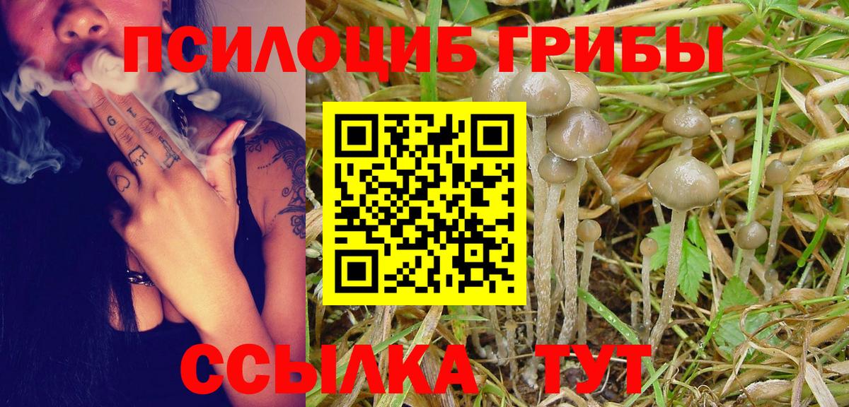 Псилоцибиновые грибы Magic Shrooms  Вход с VPN  Псилоцибиновые грибы Cubensis  Ишимбай 