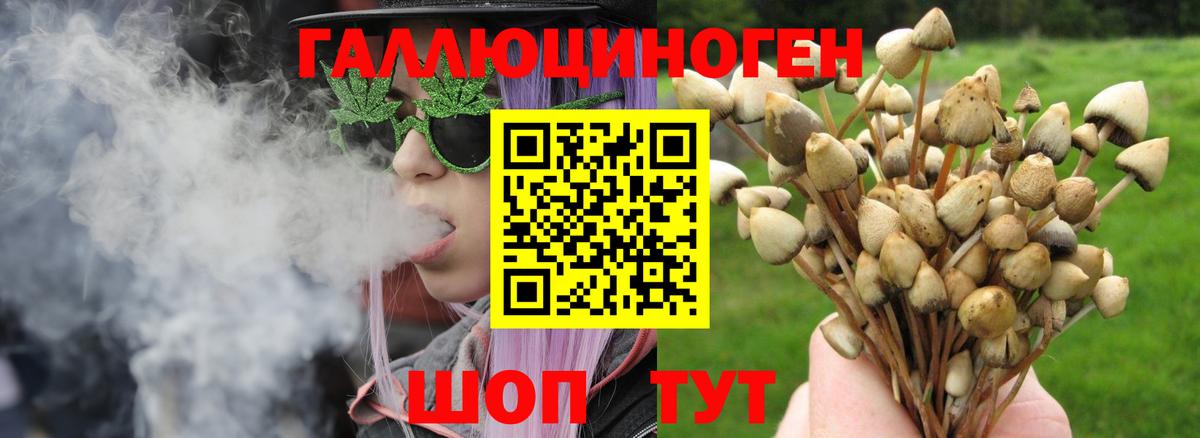 Галлюциногенные грибы GOLDEN TEACHER Ишимбай